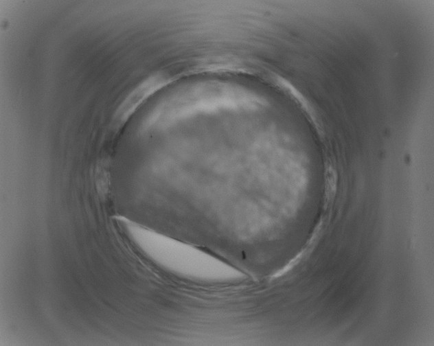 X0000081471361200702092329