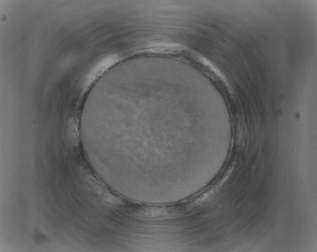 X0000081471362200702092329