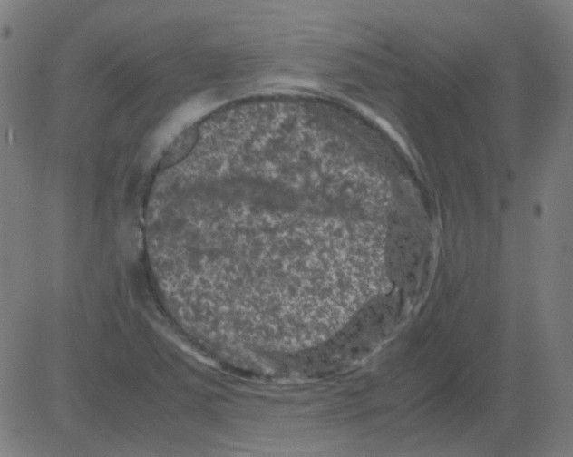 X0000081471363200702092329