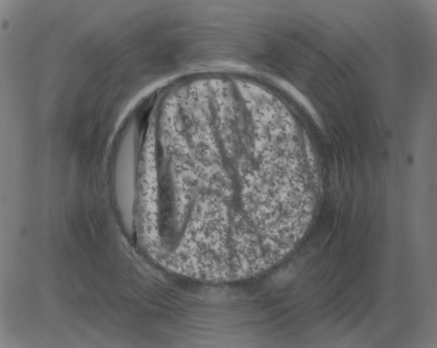 X0000081471364200702092329