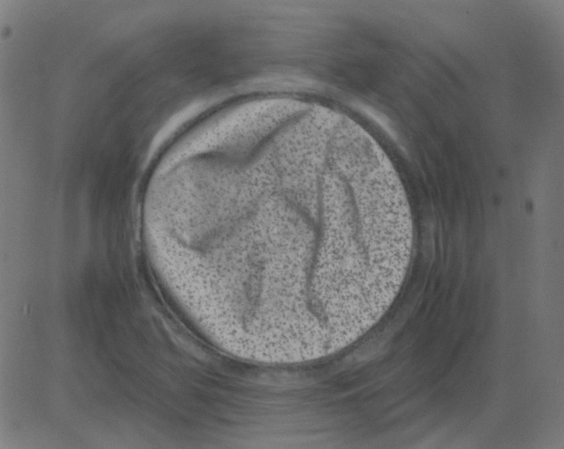 X0000081471366200702092329