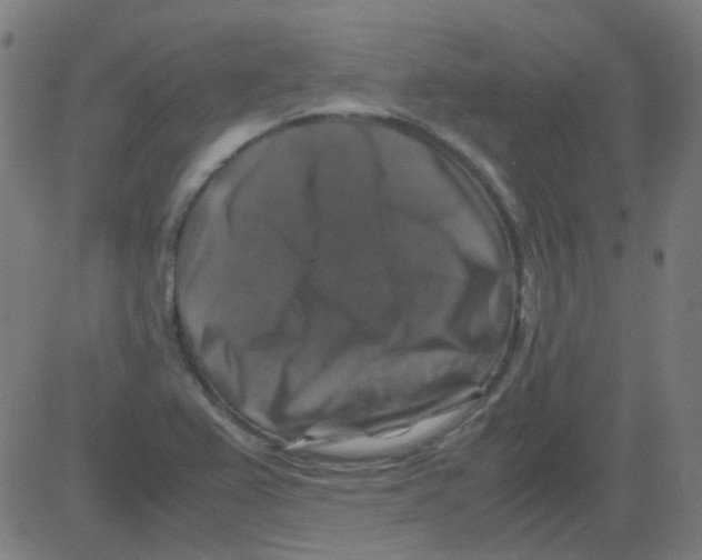 X0000081471367200702092329