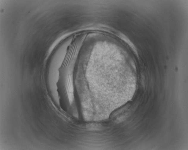 X0000081471368200702092329