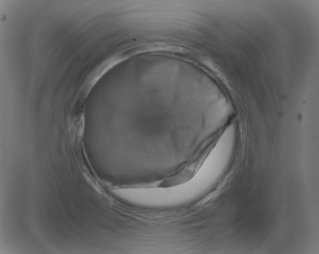 X0000081471369200702092329