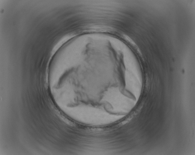 X0000081471370200702092329