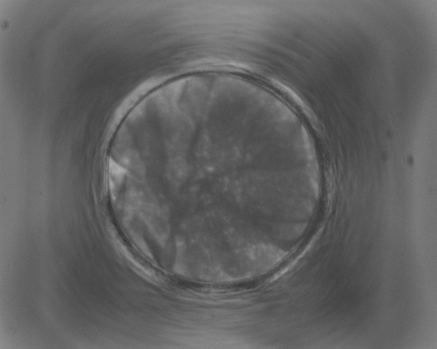 X0000081471371200702092329