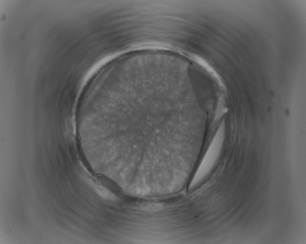 X0000081471372200702092329