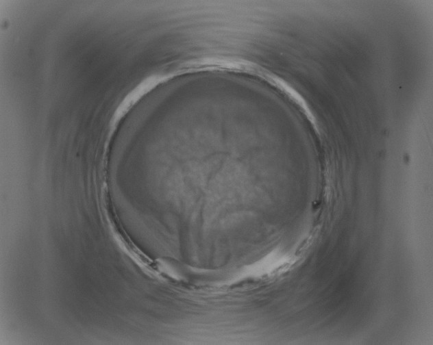 X0000081471373200702092329