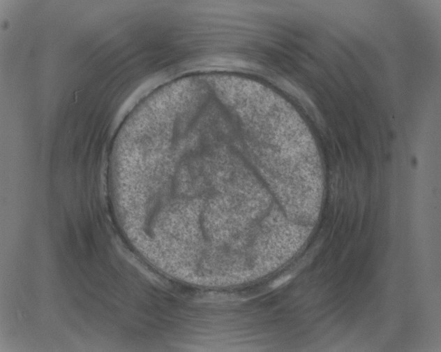 X0000081471374200702092329