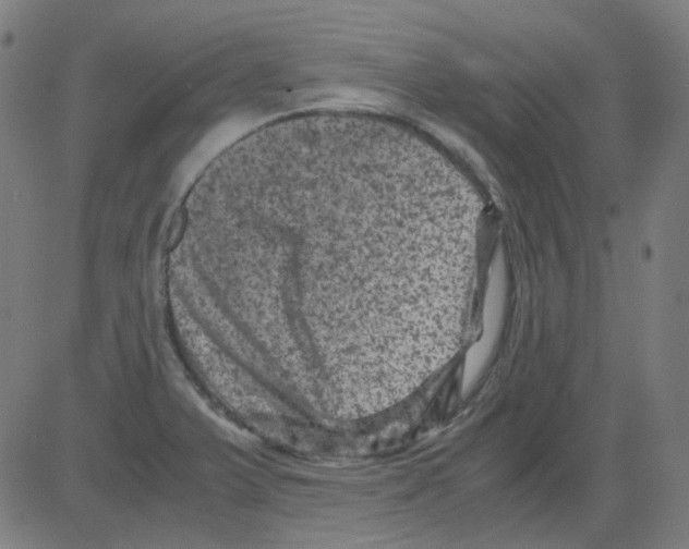 X0000081471375200702092329