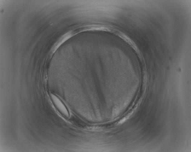 X0000081471377200702092329