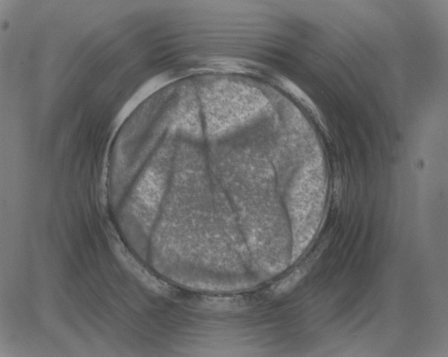 X0000081471378200702092329