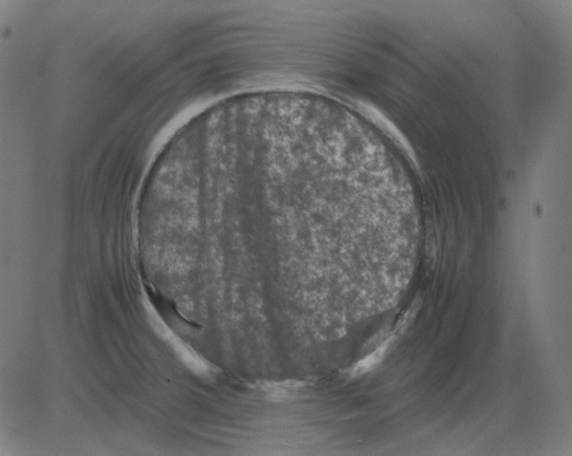 X0000081471380200702092329