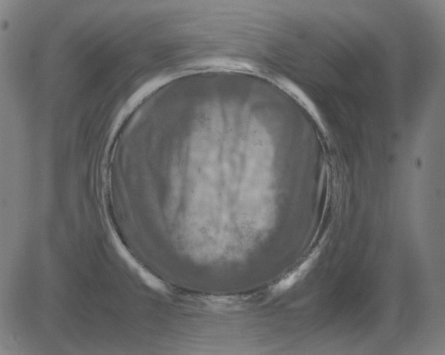 X0000081471381200702092329