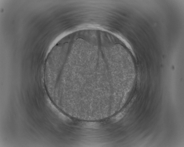 X0000081471382200702092329