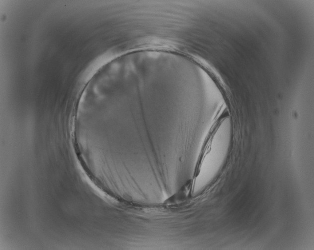 X0000081471383200702092329