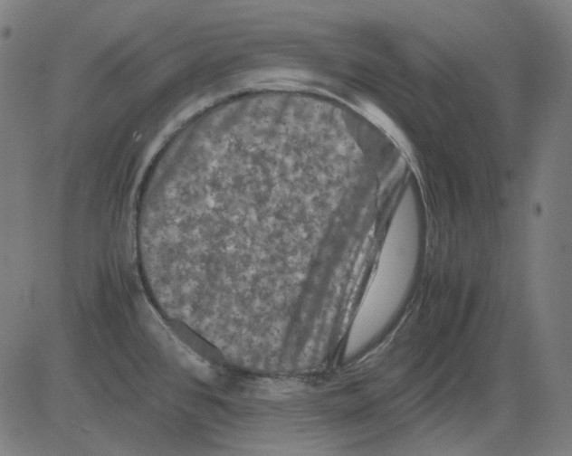 X0000081471384200702092329