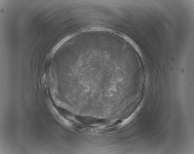 X0000081471385200702092329