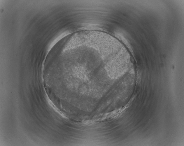 X0000081471386200702092329