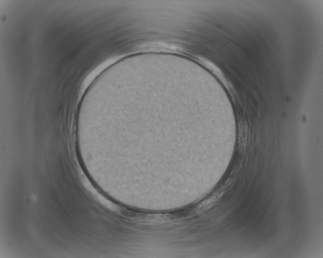 X0000081471387200702092329