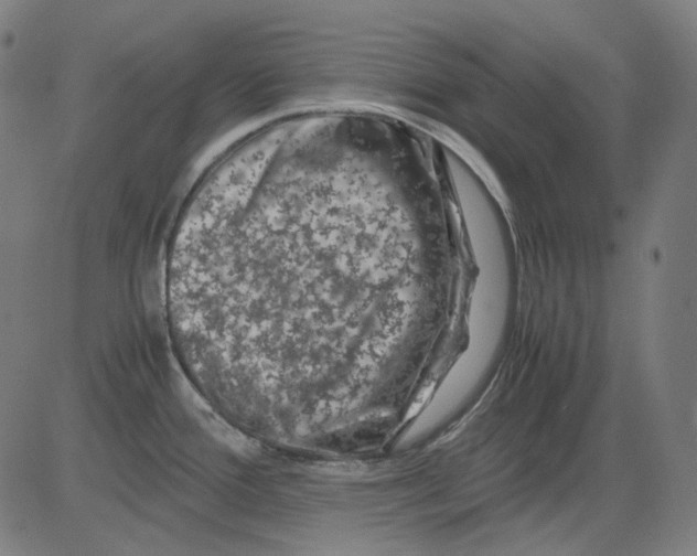 X0000081471388200702092329