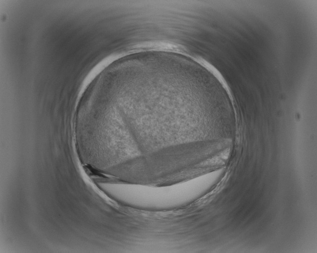 X0000081471389200702092329