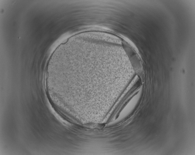 X0000081471391200702092329