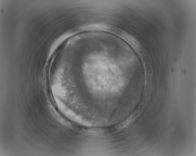 X0000081471392200702092329