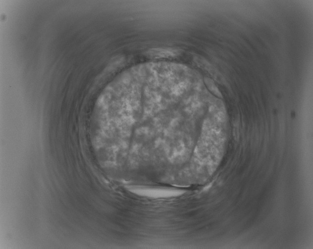 X0000081471393200702092328