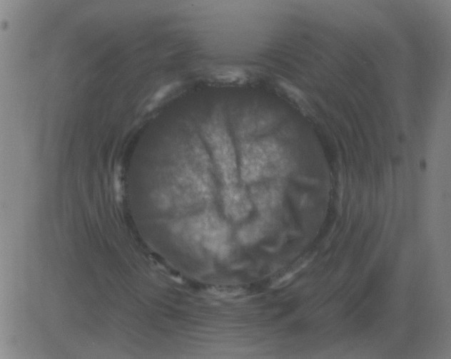 X0000081471394200702092328