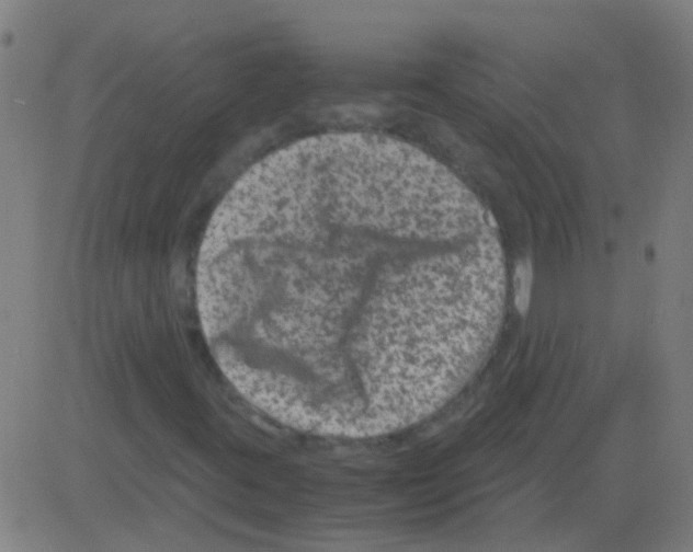 X0000081471395200702092328