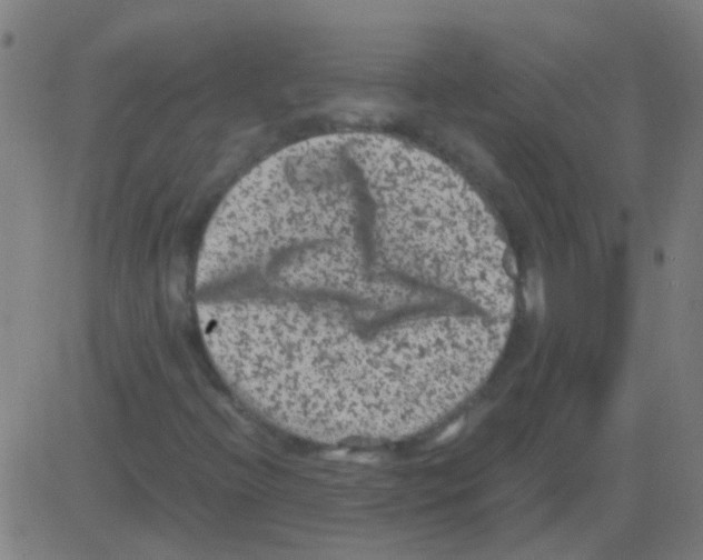 X0000081471396200702092328