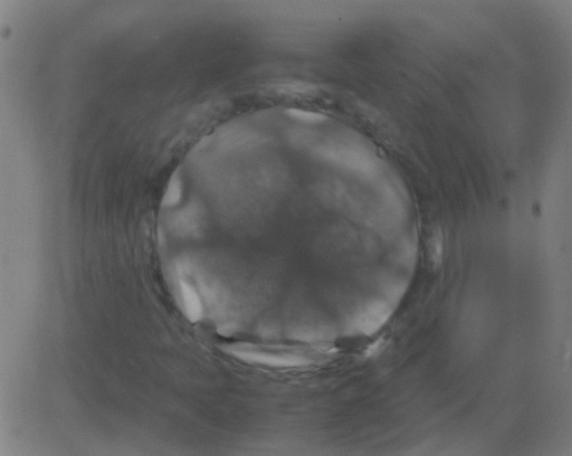 X0000081471397200702092328