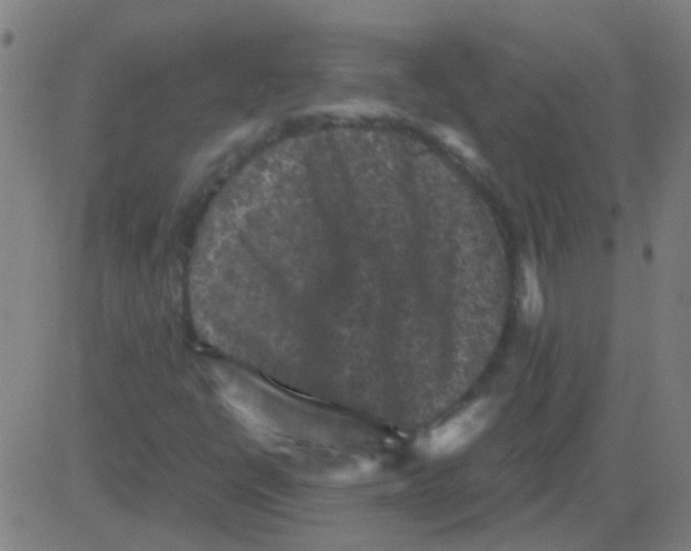 X0000081471398200702092328