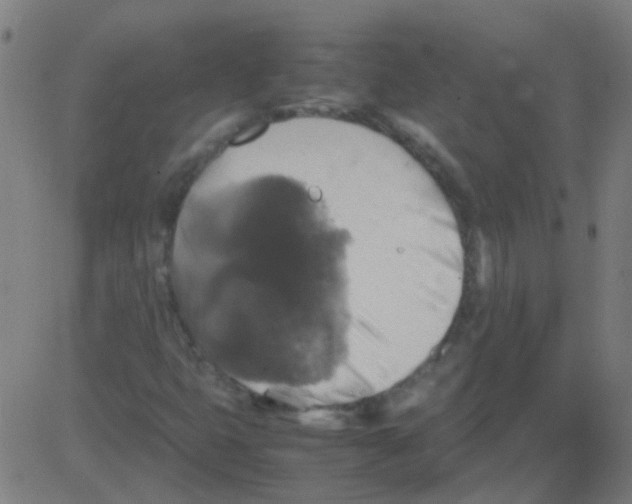 X0000081471399200702092328