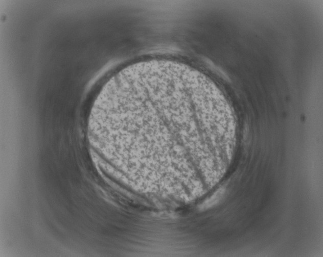 X0000081471400200702092328