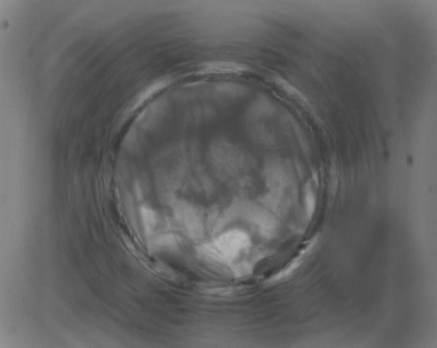 X0000081471401200702092328