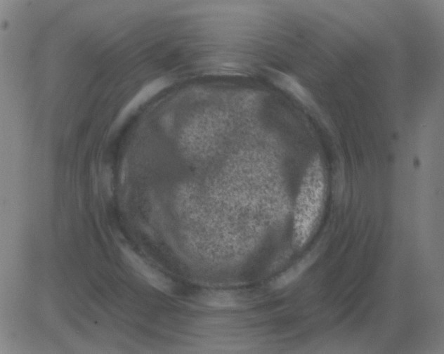 X0000081471402200702092328