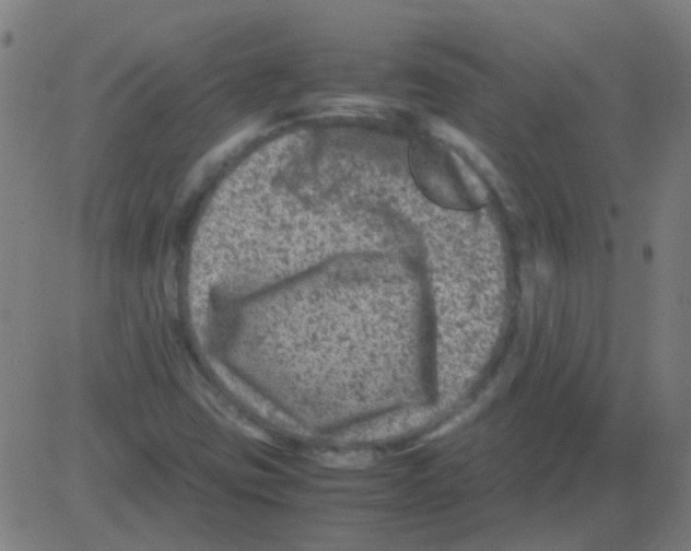 X0000081471403200702092328