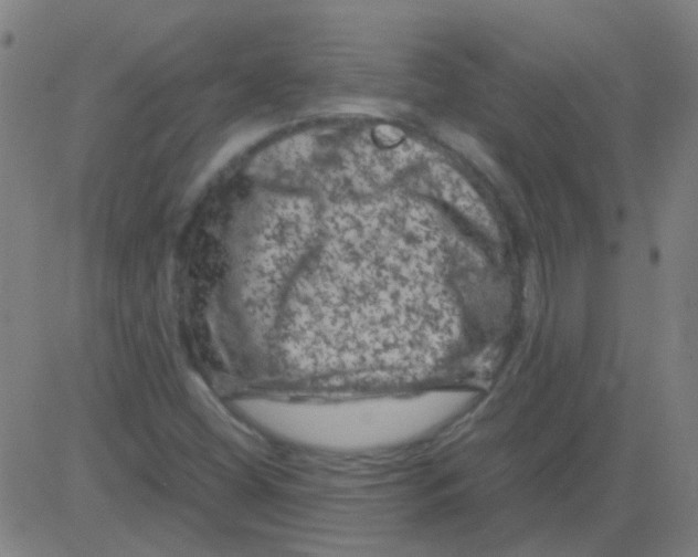 X0000081471404200702092328