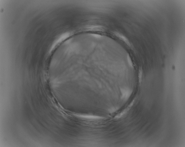 X0000081471405200702092328