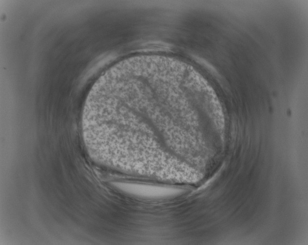 X0000081471407200702092328