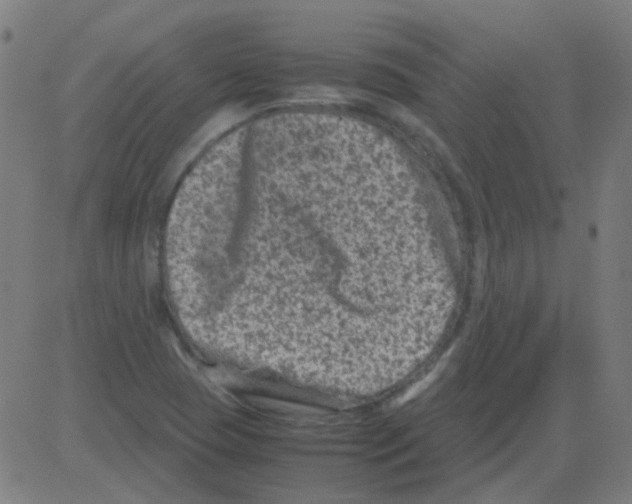 X0000081471409200702092328