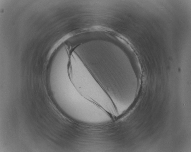 X0000081471410200702092328