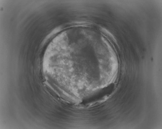 X0000081471411200702092328