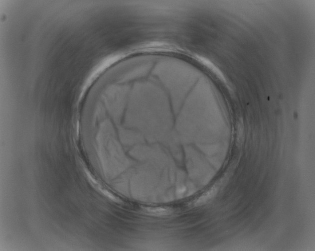 X0000081471413200702092328