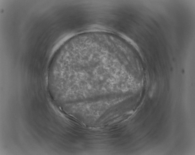 X0000081471415200702092328