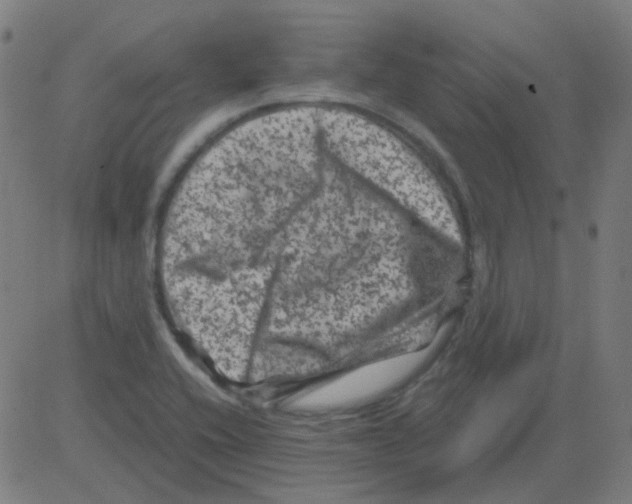 X0000081471416200702092328