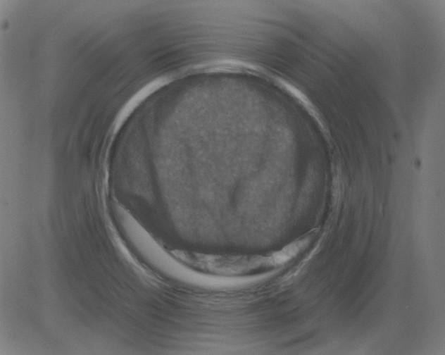 X0000081471418200702092328