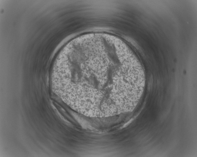 X0000081471420200702092328